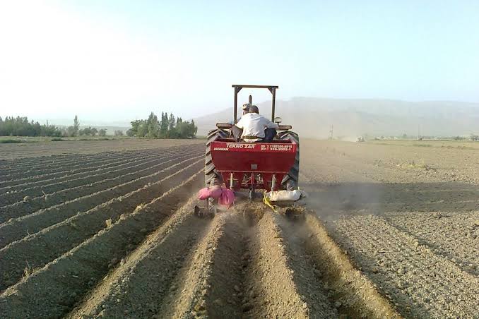 آغاز آماده‌سازی ۱۲۰۰ هکتار زمین برای کشت کنجد در دشتی